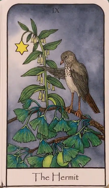 Nature Spirit Tarot